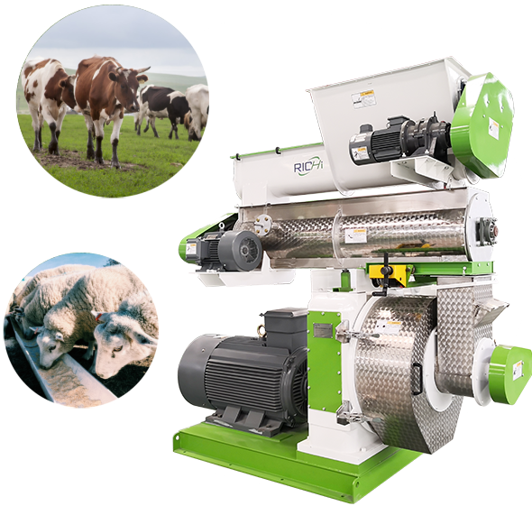 Livestock Feed Mill Equipment: Driving Sustainable Animal Production