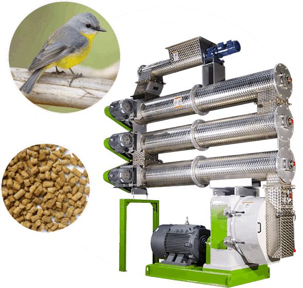 Bird Feed Machines: Fueling Avian Health and Conservation