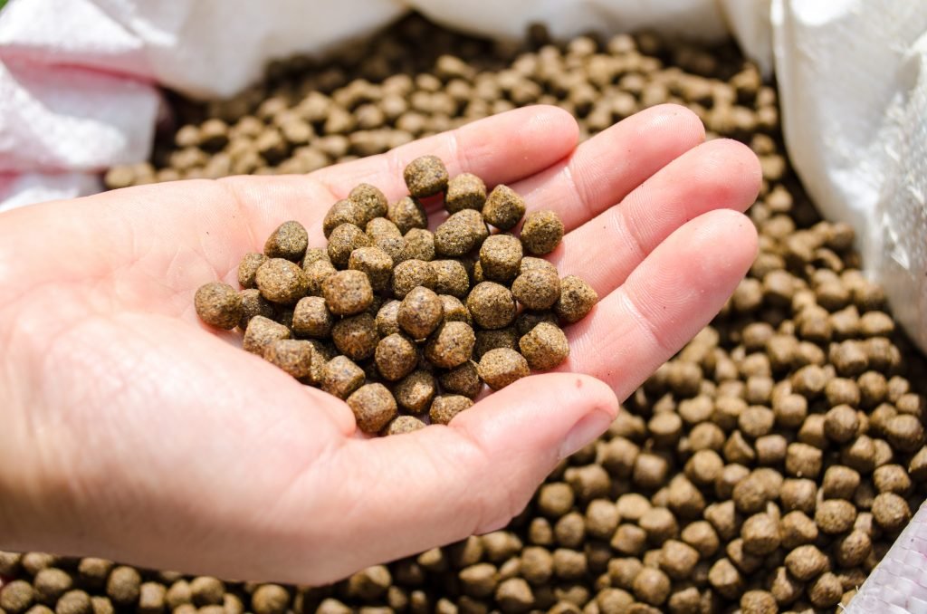 How to Improve Aquatic Feed Quality Effectively