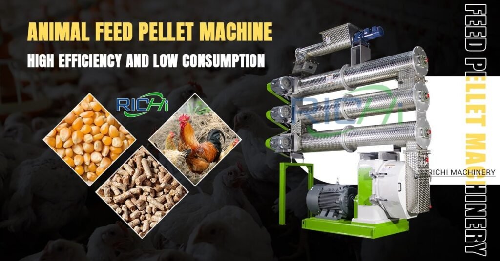 Modern Poultry Feed Manufacturing with Advanced Pellet Technology