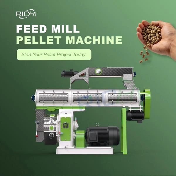 What Equipment Is Needed to Make Poultry Feed Pellets