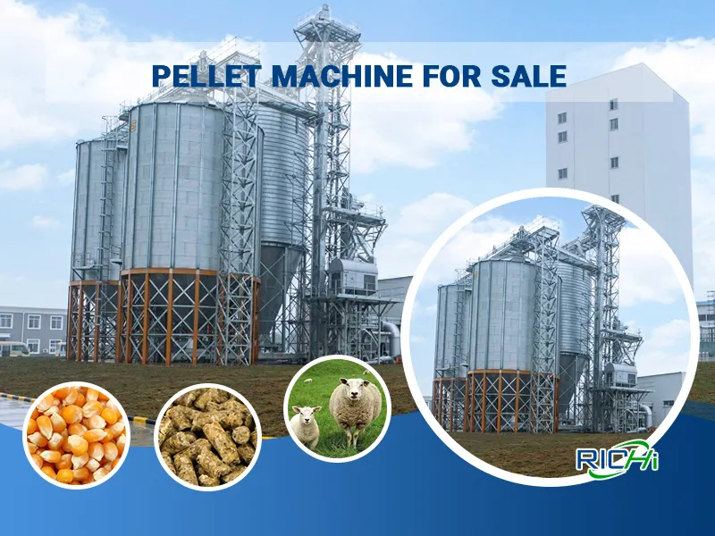 How to Plan a Practical Feed Production System